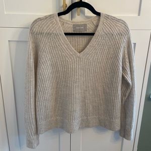 Everlane Alpaca Wool Vneck Sweater